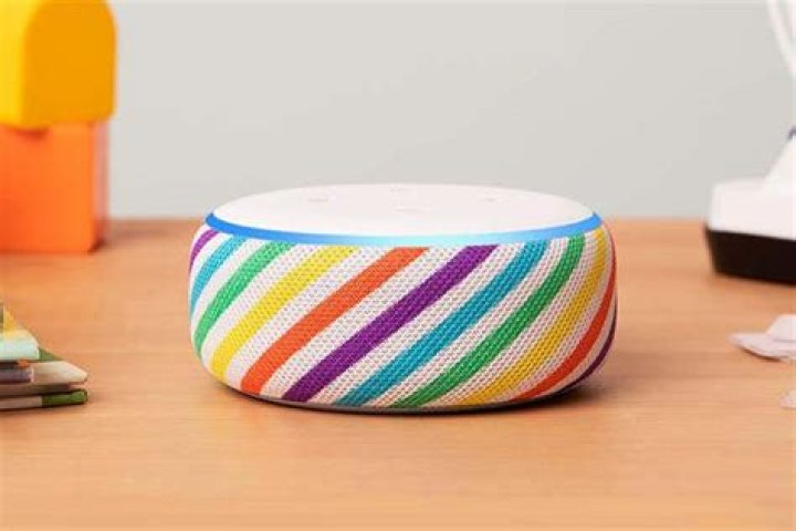 Amazon Echo Dot Kids Edition Dragon Box