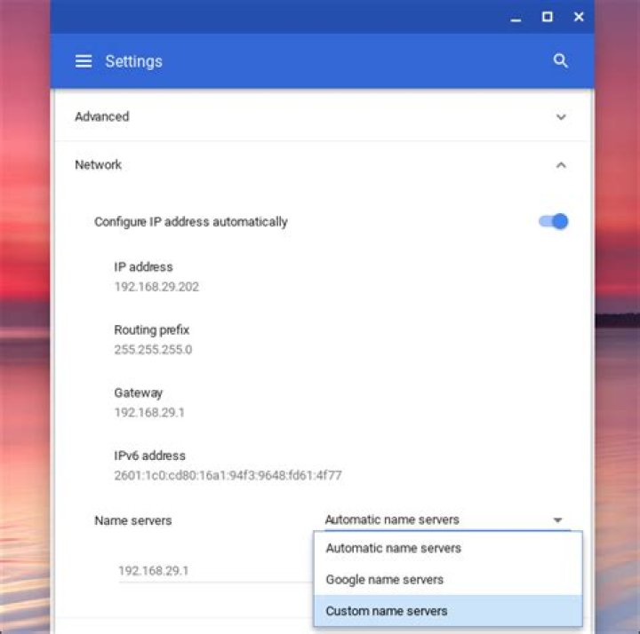 Chromebook Custom Dns