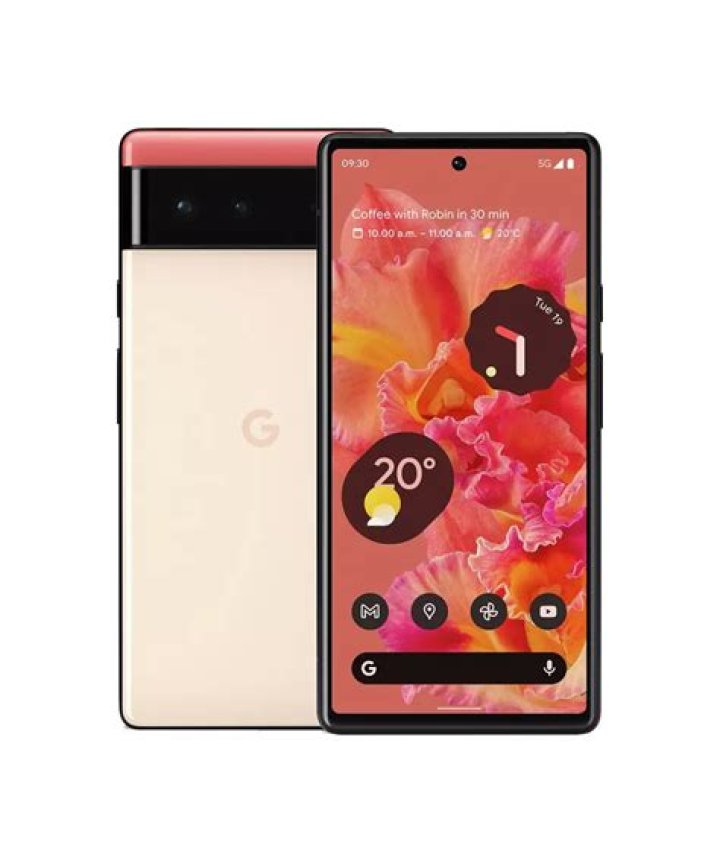 Google Pixel 6 Coral Back