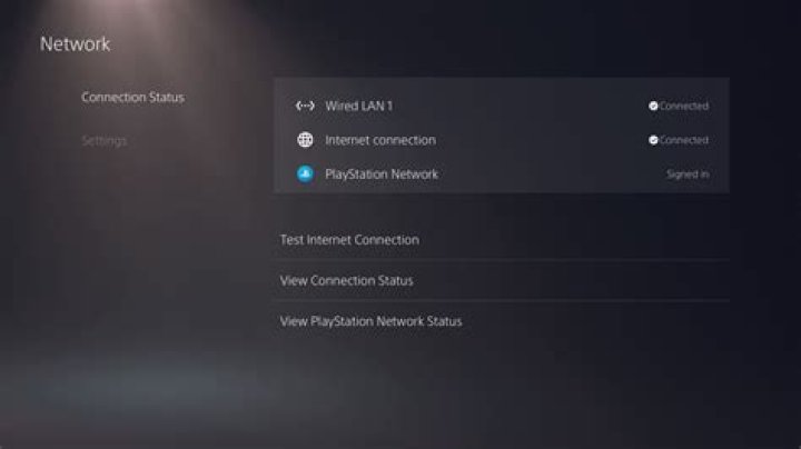 PS5 Network Connection Status