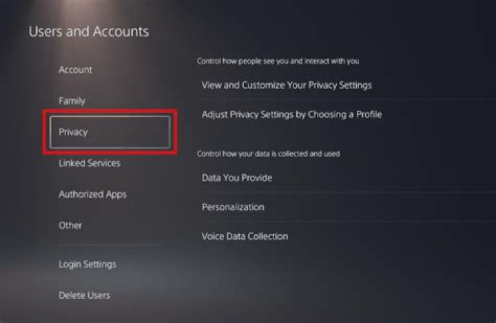 Ps5 Users Accounts Privacy