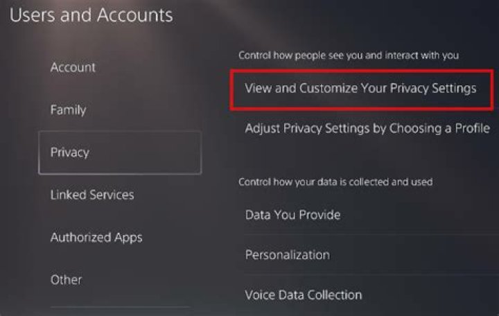 Ps5 View Customize Privacy Settings