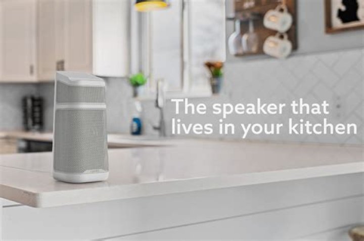 Tap Kitchen Speaker